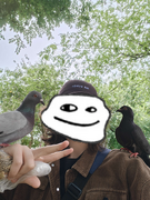 Interracial pigeon peace