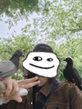 Thumbnail for version as of 18:51, 2 July 2025