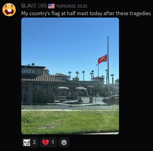 Goop half mast.png