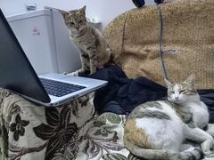A happy family