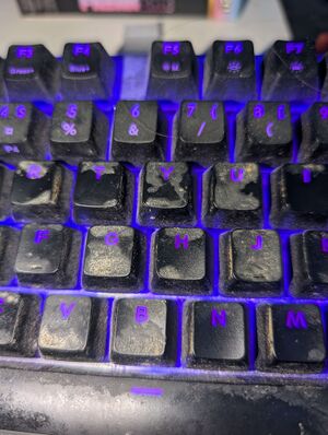 Cumboard closeup.jpg