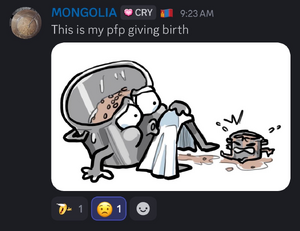Mongolian birth.png