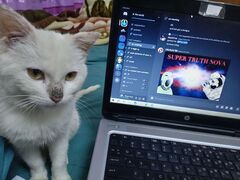 Kitler (Gosd)