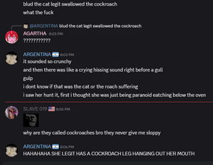 Argentina talks about the roach.png