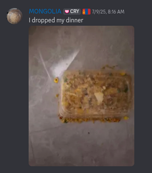 Mongolian dinner.png